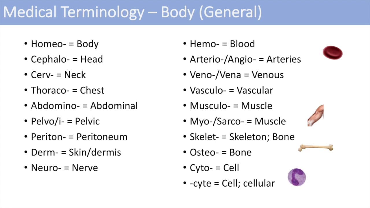 Medical Terminology: Learn the Language of Medicine