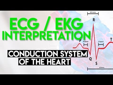 EKG Basics: Rhythm and 12-Lead Interpretation