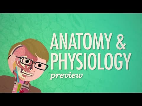 Anatomy & Physiology: The Complete Crash Course