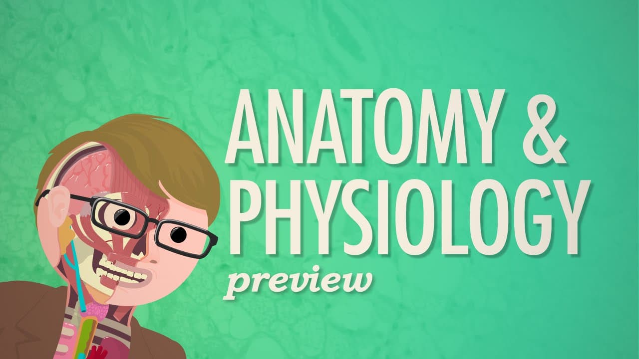 Anatomy & Physiology: The Complete Crash Course