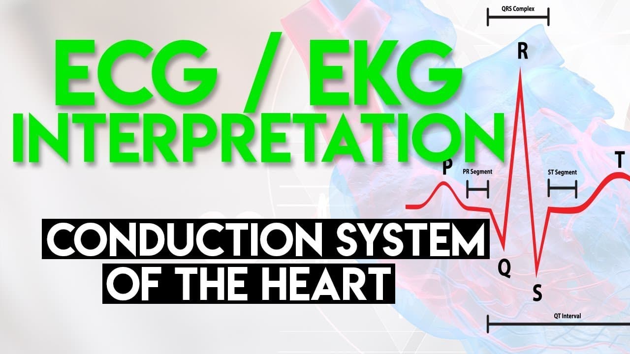 EKG Basics: Rhythm and 12-Lead Interpretation